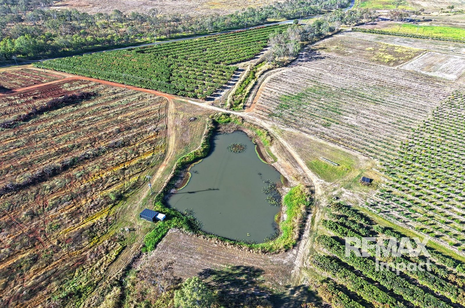 Farm dam and orchard view